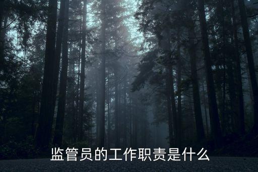  監(jiān)管員的工作職責(zé)是什么