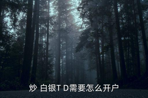 炒 白銀T D需要怎么開(kāi)戶