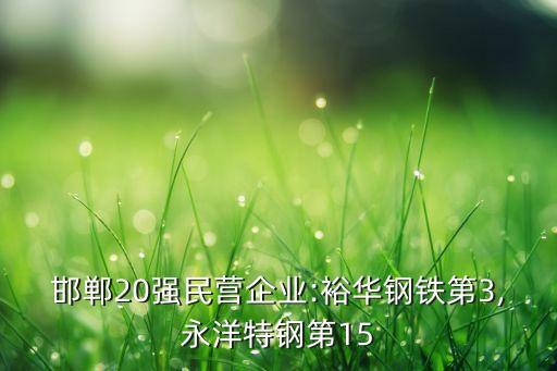 邯鄲20強民營企業(yè):裕華鋼鐵第3,永洋特鋼第15