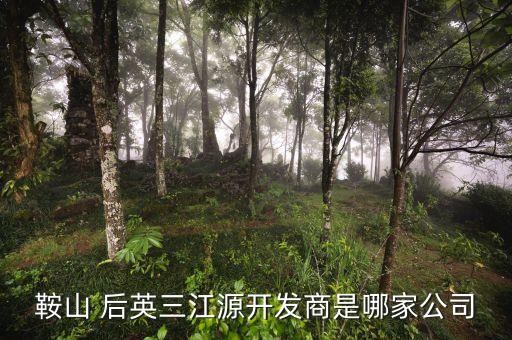 鞍山 后英三江源開發(fā)商是哪家公司