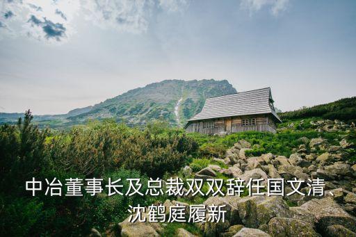  中冶董事長(zhǎng)及總裁雙雙辭任國(guó)文清、沈鶴庭履新