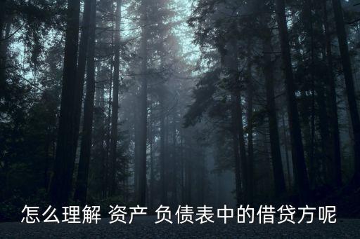 怎么理解 資產(chǎn) 負(fù)債表中的借貸方呢