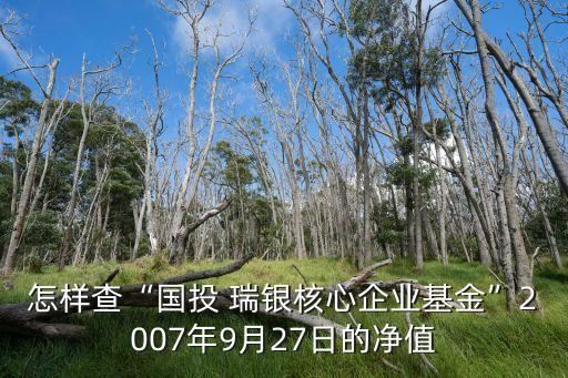 怎樣查“國投 瑞銀核心企業(yè)基金”2007年9月27日的凈值