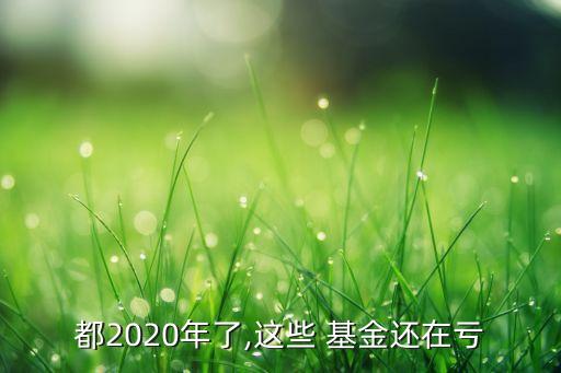 都2020年了,這些 基金還在虧