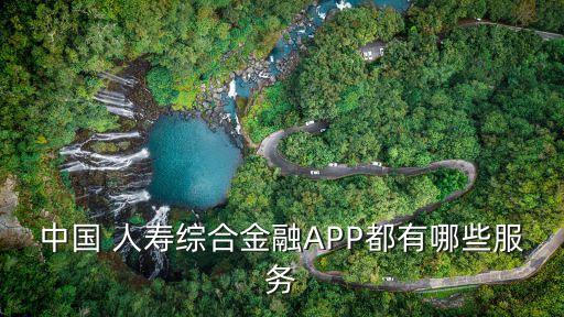 中國(guó) 人壽綜合金融APP都有哪些服務(wù)