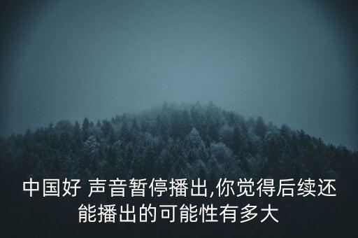 中國(guó)好 聲音暫停播出,你覺(jué)得后續(xù)還能播出的可能性有多大