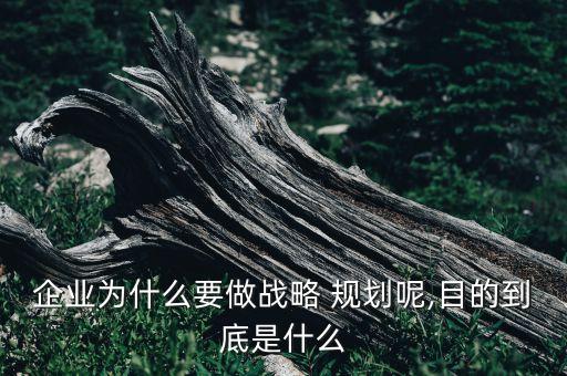 企業(yè)為什么要做戰(zhàn)略 規(guī)劃呢,目的到底是什么