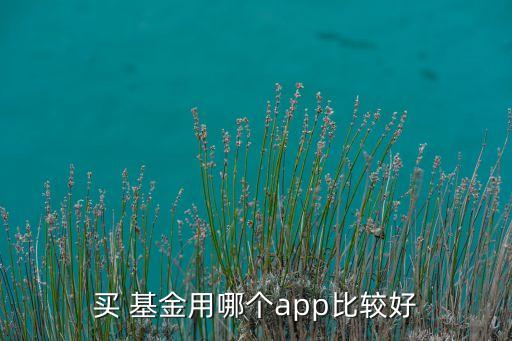 買 基金用哪個app比較好