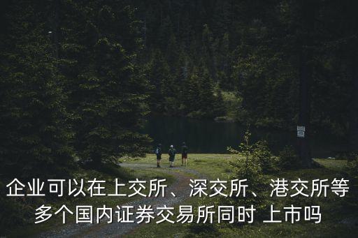 企業(yè)可以在上交所、深交所、港交所等多個(gè)國(guó)內(nèi)證券交易所同時(shí) 上市嗎