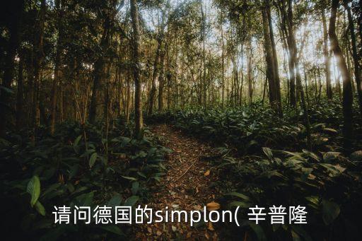 請(qǐng)問德國的simplon( 辛普隆