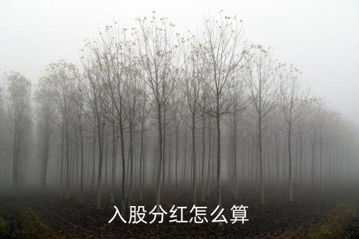 入股分紅怎么算