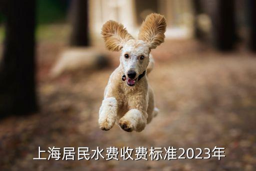  上海居民水費收費標(biāo)準(zhǔn)2023年