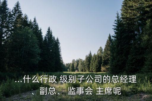 ...什么行政 級(jí)別子公司的總經(jīng)理、副總、 監(jiān)事會(huì) 主席呢