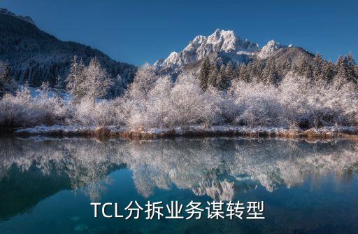 tcl公司企業(yè)愿景,公司的企業(yè)愿景怎么寫