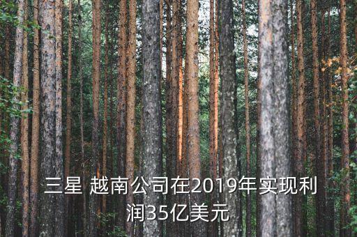  三星 越南公司在2019年實現(xiàn)利潤35億美元