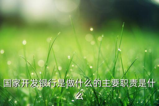 國家開發(fā)銀行是做什么的主要職責(zé)是什么