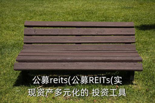 公募reits(公募REITs(實現(xiàn)資產(chǎn)多元化的 投資工具