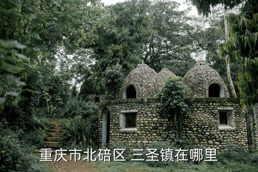 貴陽三圣特種建材公司,三圣特種建材股份有限公司董事長(zhǎng)