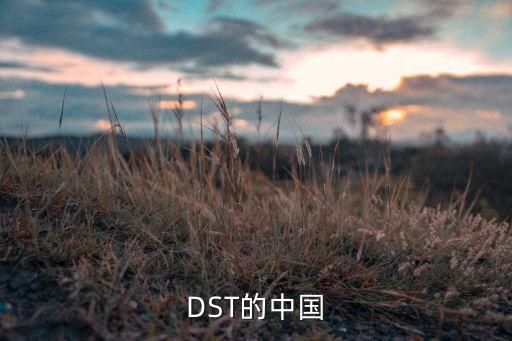 dst中國(guó)合伙人,DST中國(guó)合伙人