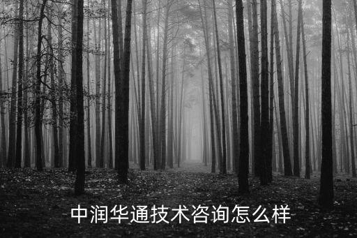  中潤華通技術咨詢怎么樣