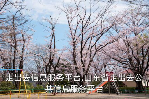 上海走出去信息服務(wù)平臺(tái),山東省走出去公共信息服務(wù)平臺(tái)