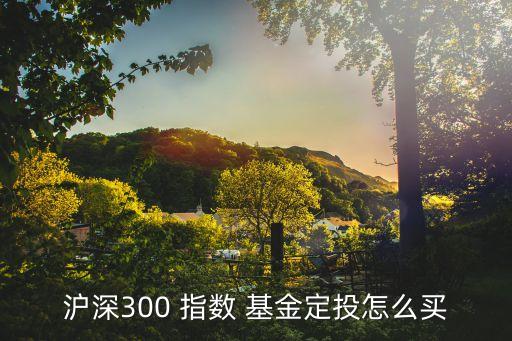 滬深300 指數(shù) 基金定投怎么買