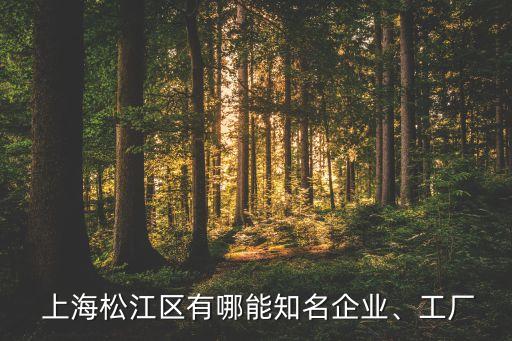 上海宏華文化創(chuàng)業(yè)投資有限責(zé)任公司