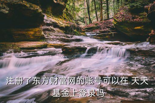 注冊了東方財(cái)富網(wǎng)的賬號可以在 天天 基金上登錄嗎