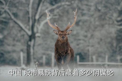 中國股市亂像,為什么中國股市這么亂