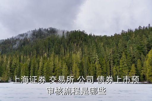 上海證券 交易所 公司 債券上市預(yù)審核流程是哪些