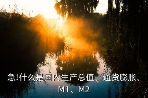 急!什么是國(guó)內(nèi)生產(chǎn)總值、通貨膨脹、M1、M2