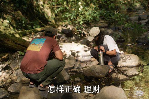 個人投資理財策略及技巧,投資理財.恒盛策略怎么申請