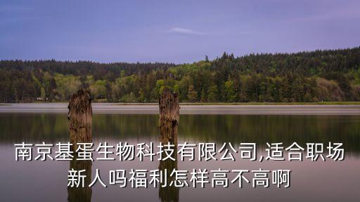 南京基蛋生物科技有限公司,適合職場(chǎng)新人嗎福利怎樣高不高啊