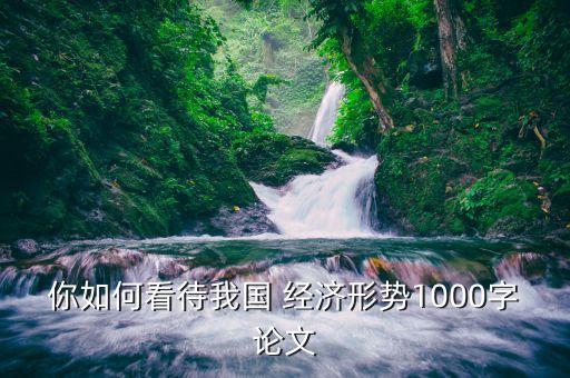 你如何看待我國 經(jīng)濟形勢1000字論文