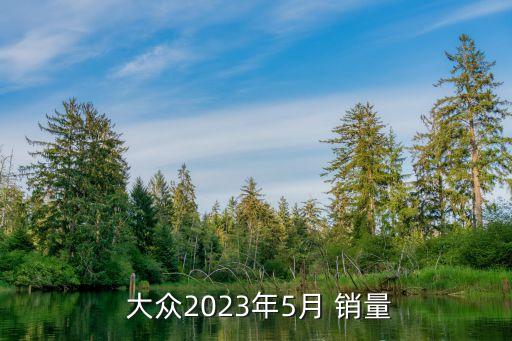  大眾2023年5月 銷(xiāo)量