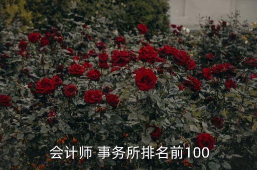  會(huì)計(jì)師 事務(wù)所排名前100