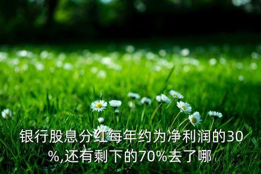  銀行股息分紅每年約為凈利潤(rùn)的30%,還有剩下的70%去了哪