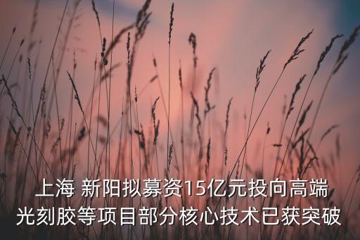 上海新陽(yáng)公司概況,陽(yáng)煤平興公司概況