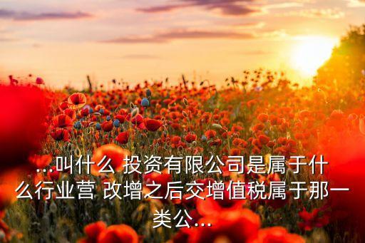 ...叫什么 投資有限公司是屬于什么行業(yè)營(yíng) 改增之后交增值稅屬于那一類(lèi)公...