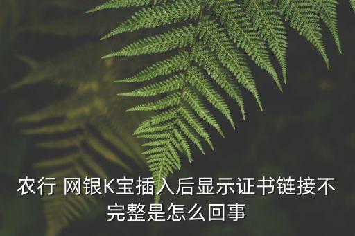 農(nóng)業(yè)銀行網(wǎng)銀提示信息不完善