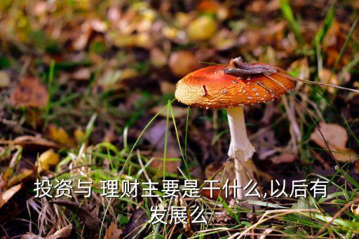 河北投資與理財(cái),投資與理財(cái)論文3000字