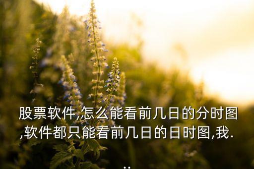  股票軟件,怎么能看前幾日的分時圖,軟件都只能看前幾日的日時圖,我...