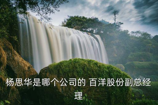 楊思華是哪個公司的 百洋股份副總經(jīng)理