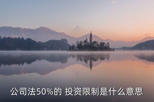 公司法50%的 投資限制是什么意思