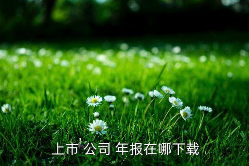 如何查上市公司以前的年報(bào),上市公司輔導(dǎo)期年報(bào)怎么查