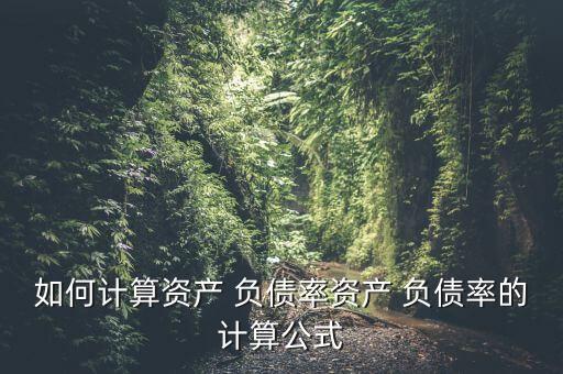 如何計算資產(chǎn) 負債率資產(chǎn) 負債率的計算公式