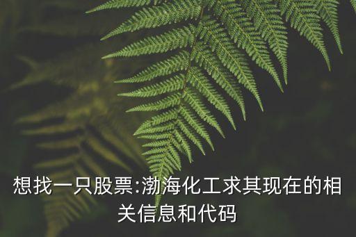 想找一只股票:渤?；で笃洮F(xiàn)在的相關(guān)信息和代碼