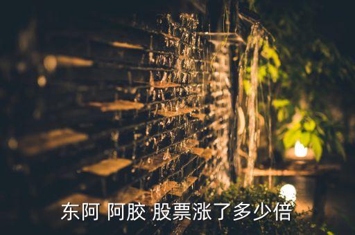 東阿 阿膠 股票漲了多少倍