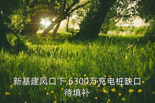 邢臺城基新能源科技有限公司,邢臺泰一新能源科技有限公司