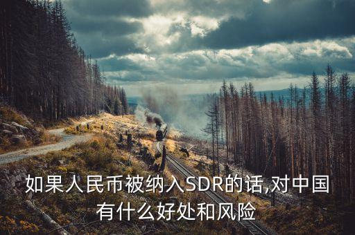 如果人民幣被納入SDR的話,對中國有什么好處和風(fēng)險(xiǎn)